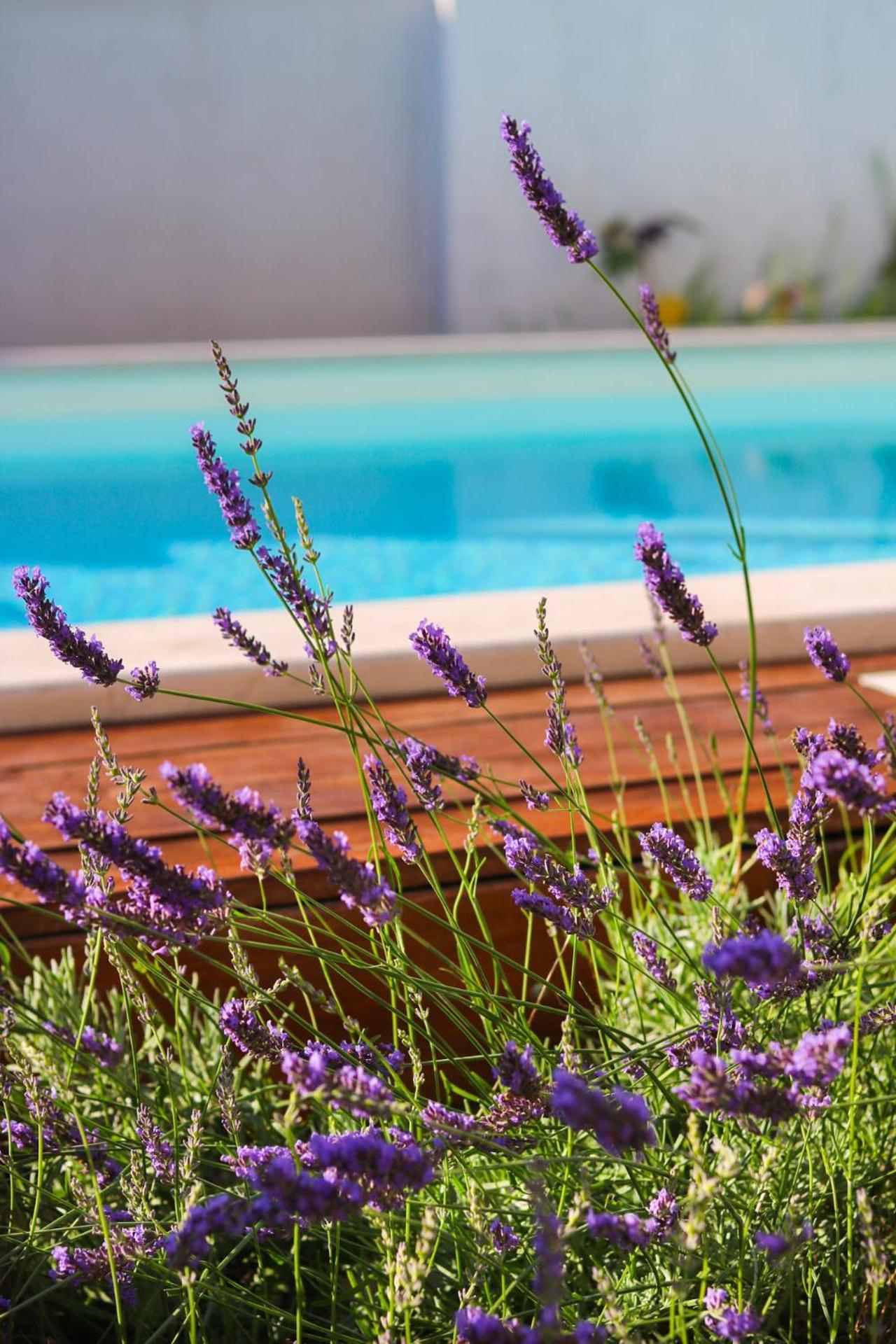 Villa My Rose With A Private Pool Mlini Extérieur photo